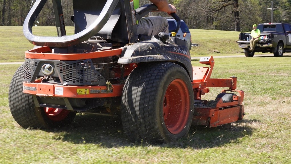 Beautiful lawn maintained by Daisy Lawn Care