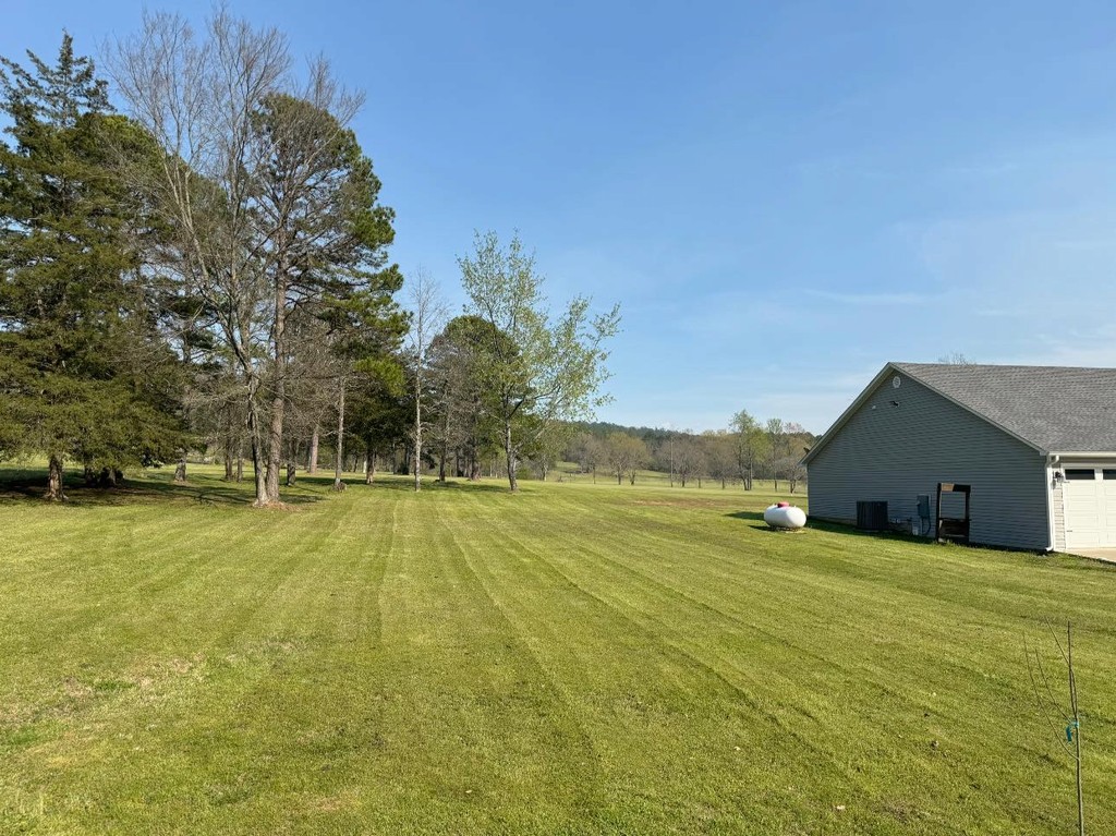 Beautiful lawn results